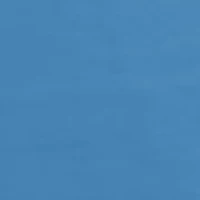 Octopus Spears Long Sleeve Graphic T-Shirt