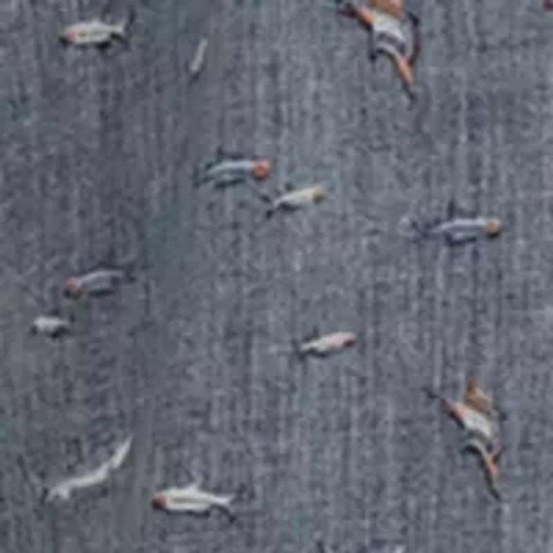 Shark Bait Embroidered Woven Printed Button Down Shirt