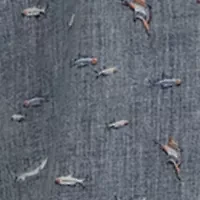 Shark Bait Embroidered Woven Printed Button Down Shirt