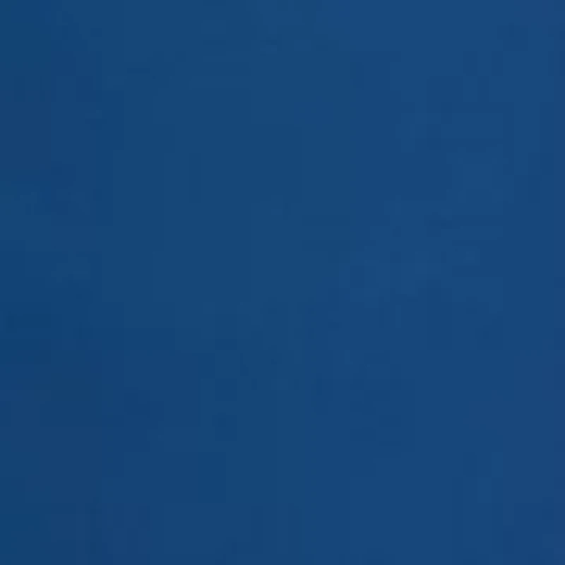 Classic Stretch Shorts