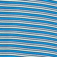 Seascape Stripe Polo Shirt