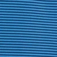 Feeder Stripe Polo Shirt