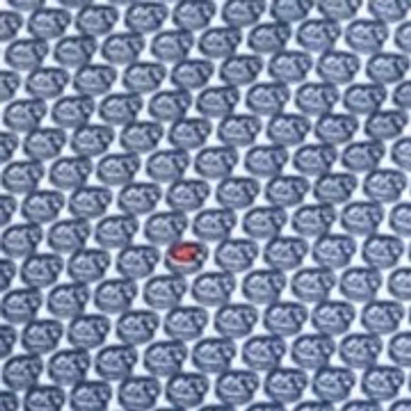 Pie Print Polo Shirt