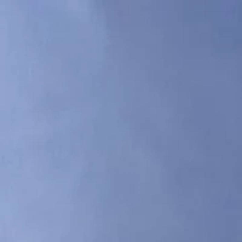 Men's Stretch Golf Shorts