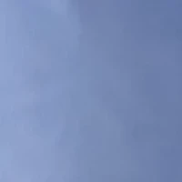 Men's Stretch Golf Shorts