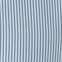 Men's Stripe Seersucker Button Down Shirt