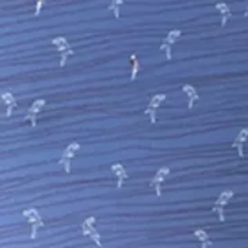 Men's Novelty Parrot Print Shirt