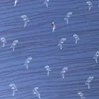 Men's Novelty Parrot Print Shirt