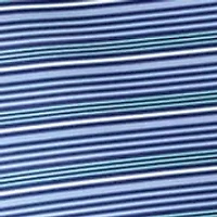 Men's Panorama Striped Polo Shirt