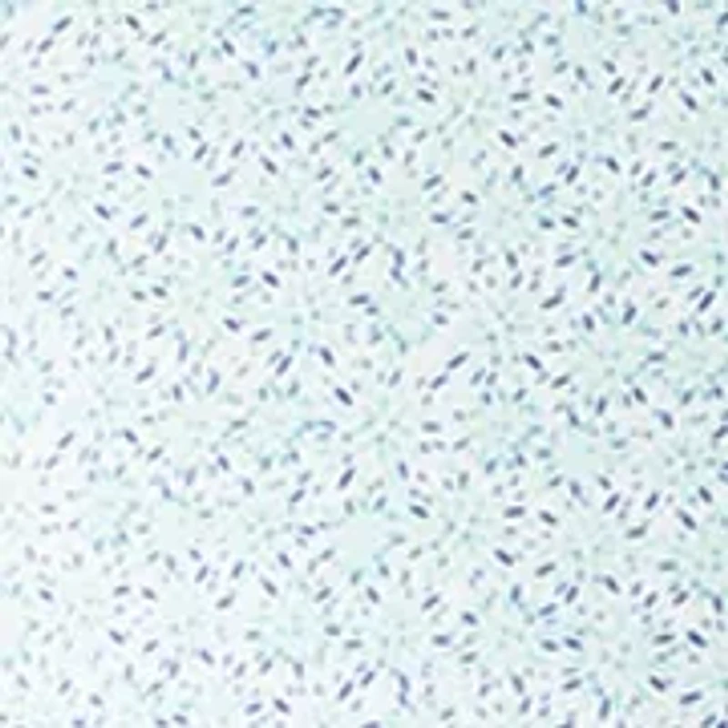 Men's Fireworks Print Polo Shirt