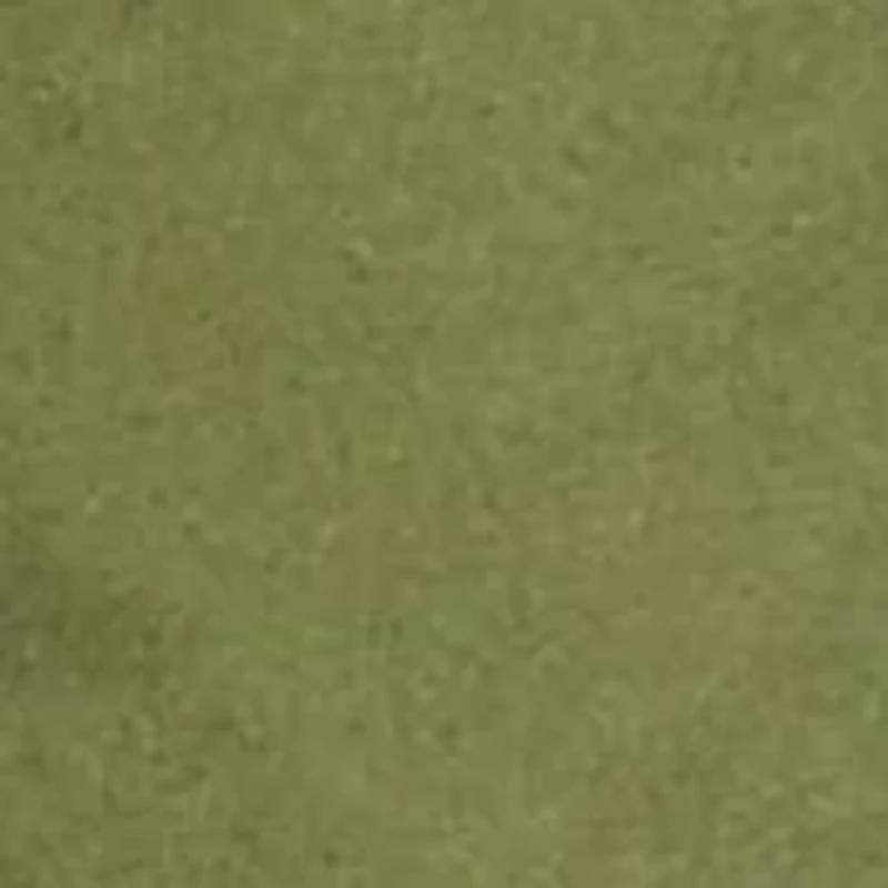 Big & Tall Classic Fit Chino Shorts