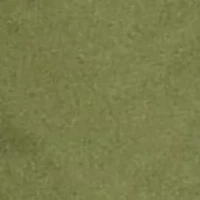 Big & Tall Classic Fit Chino Shorts