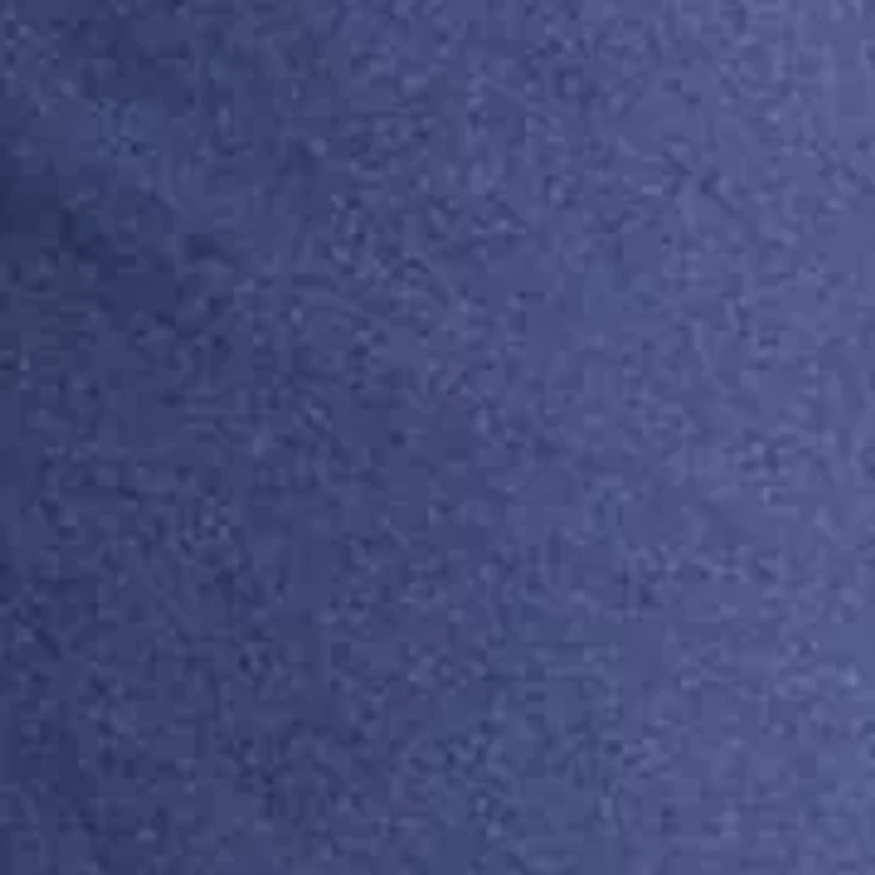 Big & Tall Classic Fit Chino Shorts