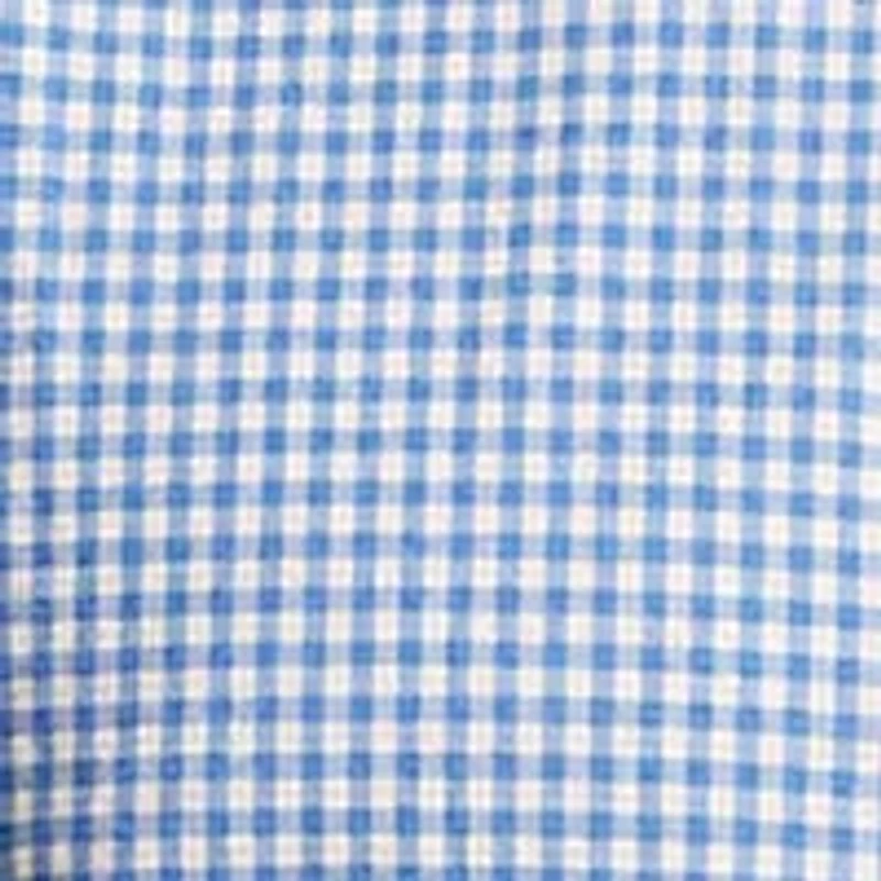Slim Fit Checked Poplin Shirt