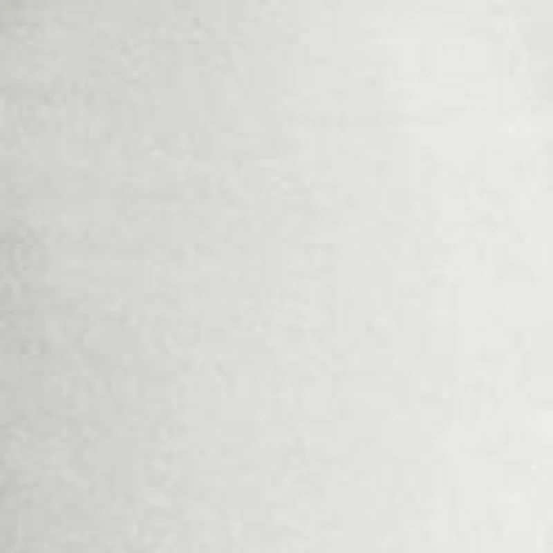 Big & Tall Stretch Classic Fit Chino Shorts