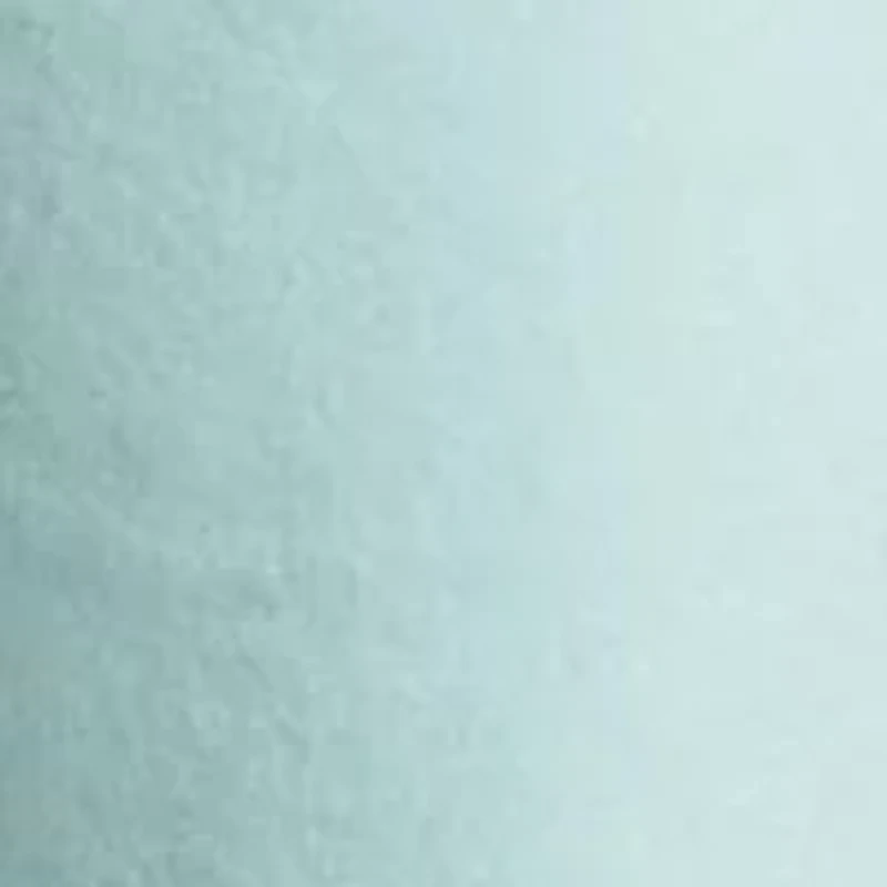 Big & Tall Stretch Classic Fit Chino Shorts