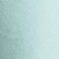 Big & Tall Stretch Classic Fit Chino Shorts