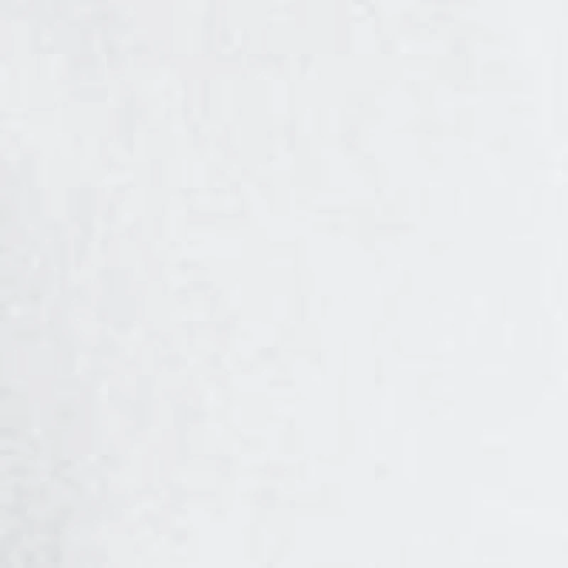 The Iconic Oxford Shirt