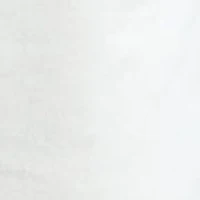 6 Inch Polo Prepster Stretch Twill Shorts