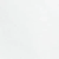 Big & Tall Classic-Fit Oxford Shirt