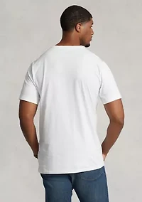 Big & Tall Cotton Jersey V-Neck T-Shirt