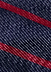 Striped Silk Repp Tie
