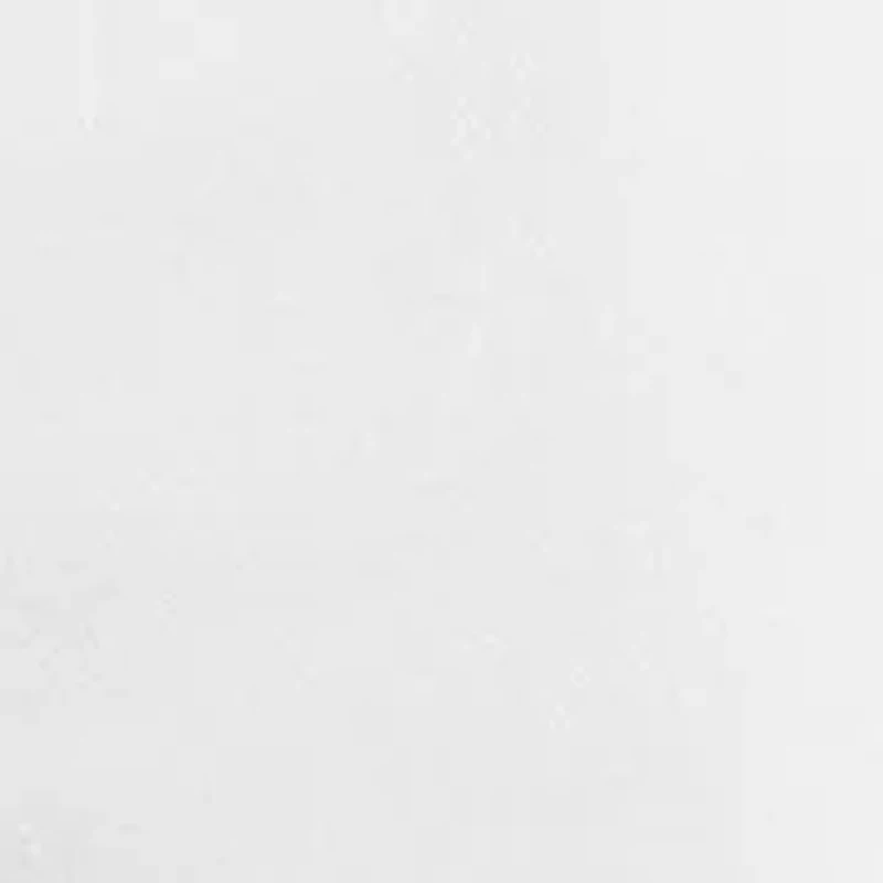 8.5" Fleece Graphic Shorts