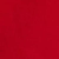 Big & Tall Logo Jersey Graphic T-Shirt