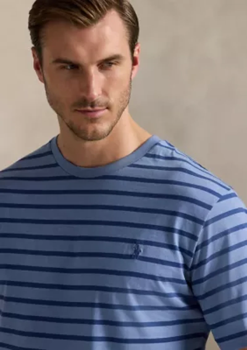 Big & Tall Striped Jersey Crew Neck T-Shirt