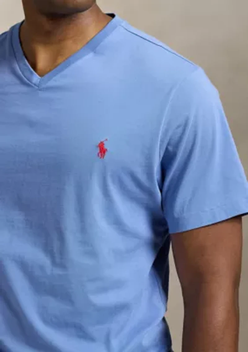 Big & Tall Jersey V-Neck T-Shirt