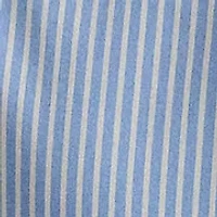 Classic Fit Striped Stretch Poplin Shirt