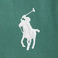 Big & Tall Pony Mesh Polo Shirt
