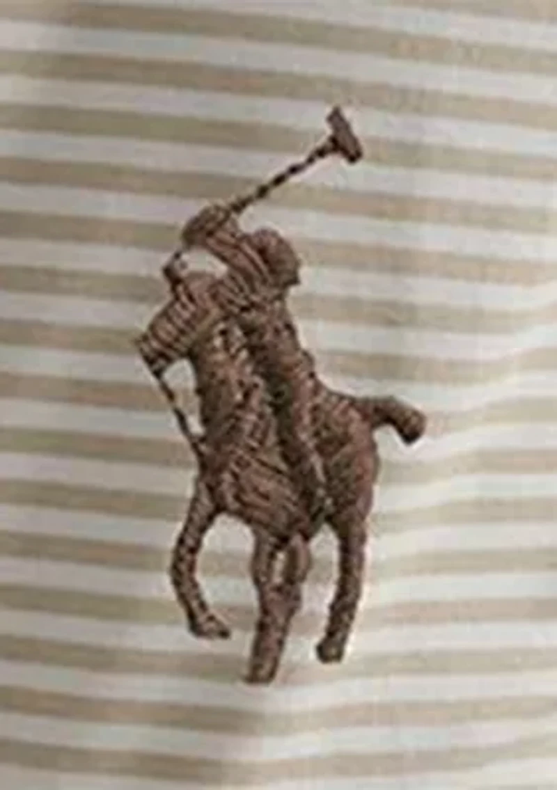 Classic Fit Striped Mesh Polo Shirt