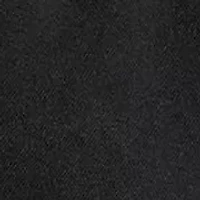 Big & Tall Double-Knit Hoodie