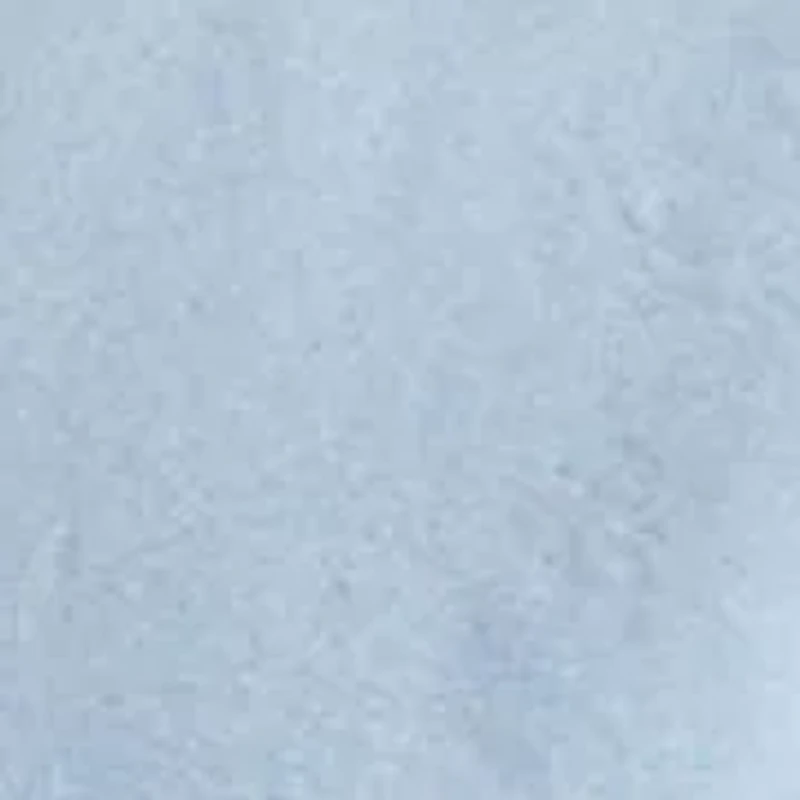 Custom Fit Oxford Shirt