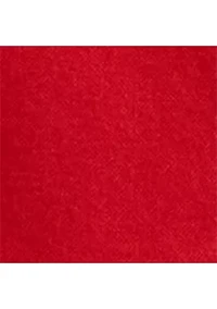 Classic Fit Polo Bear Oxford Shirt