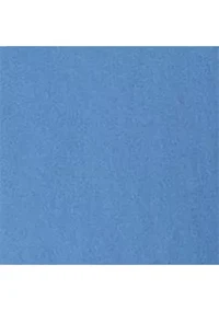 Big & Tall Bedford Classic Fit Washed Chino Pant