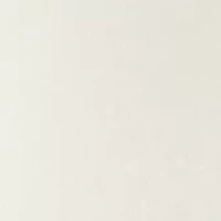 Big & Tall Jersey Hooded T-Shirt