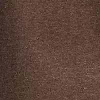 Big & Tall Soft Cotton Crewneck T-Shirt