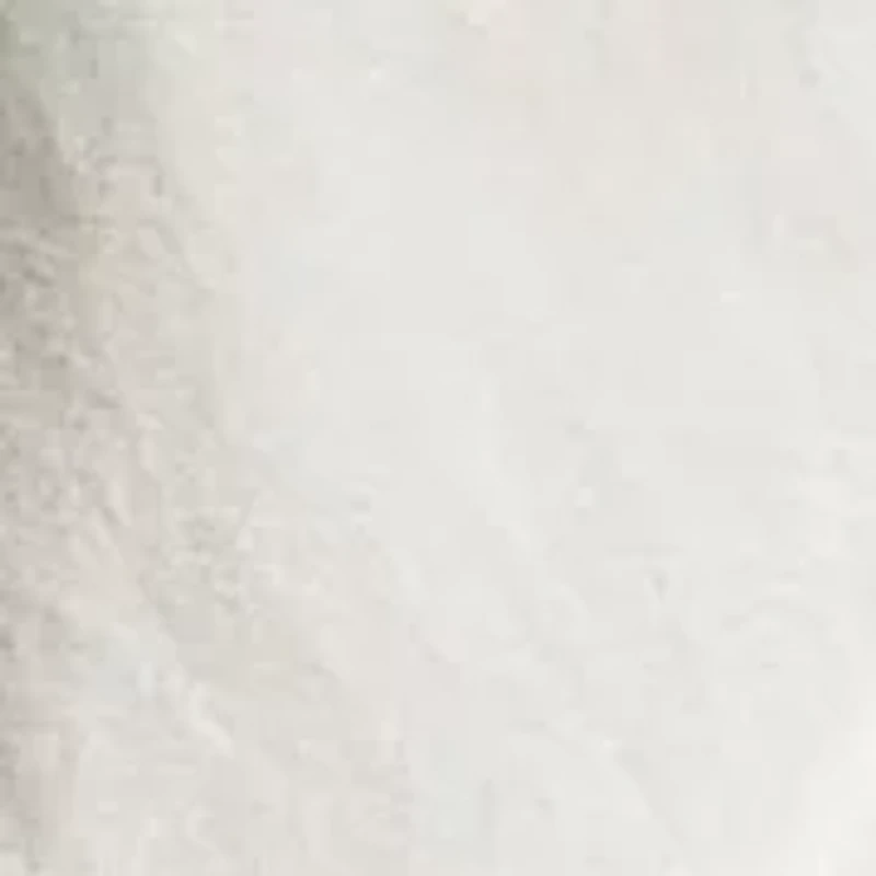 The Iconic Oxford Shirt