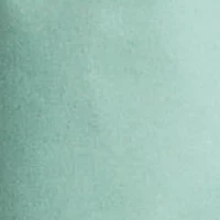Stretch Straight Fit Chino