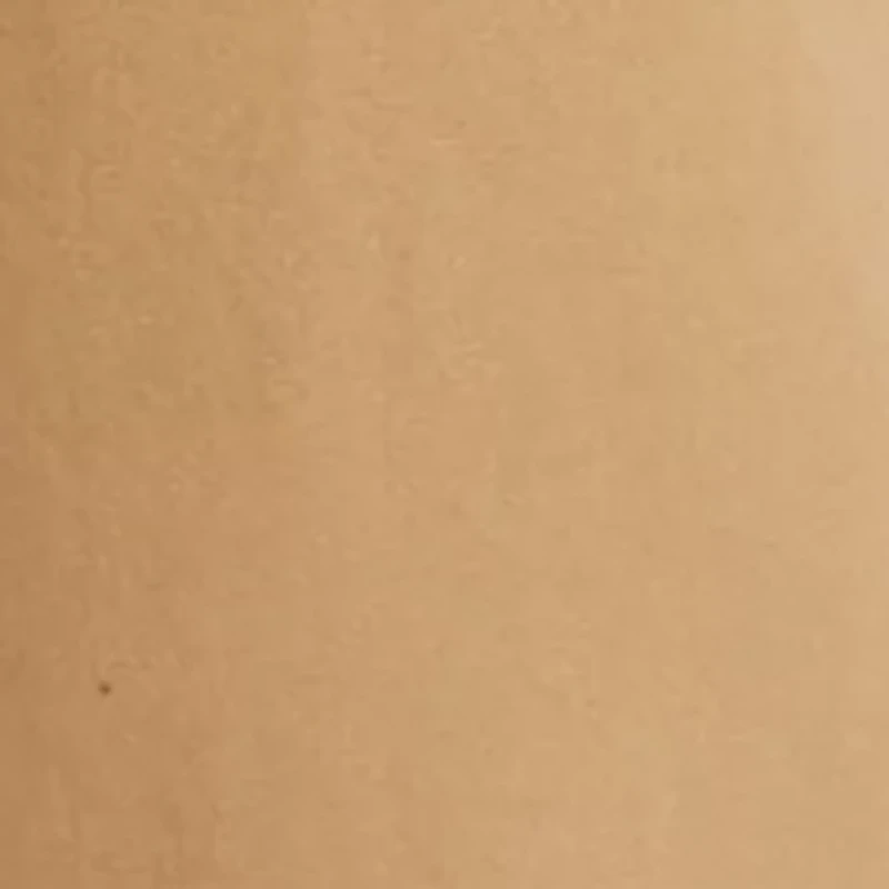 10 Inch Surplus Shorts