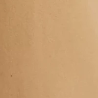 10 Inch Surplus Shorts