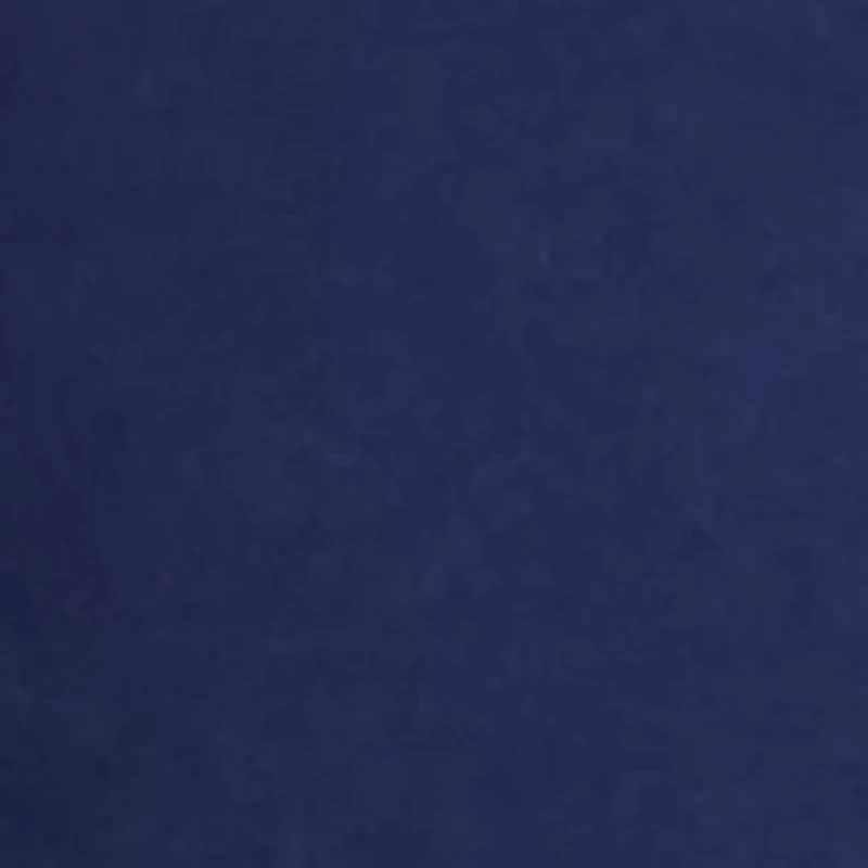 10 Inch Surplus Shorts