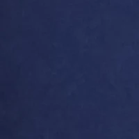 10 Inch Surplus Shorts