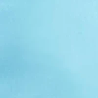 8.5 Inch Classic Fit Chino Shorts