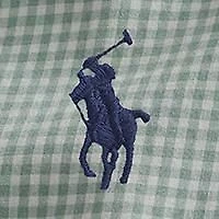 Classic Fit Gingham Stretch Poplin Shirt