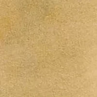 Polo Bear Fleece Hoodie