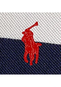 Classic Fit Striped Mesh Polo Shirt