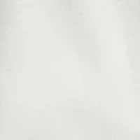 Classic Fit Stretch Poplin Shirt